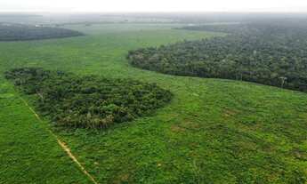 Imagem 7: Fazenda 1.024 hec em nova motum MT. 200hec abertos pega imóveis 30 milhões