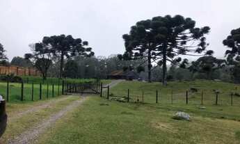 Imagem 7: Sitio - Bairro Serra Grande