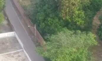 Imagem: Terreno murado na Estrada da Mata ideal