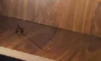 Imagem 4: Apto condomínio turmalinas com proprietário