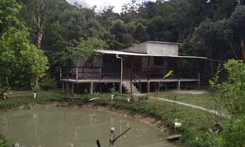 Imagem: Lindo 1 alqueire paulista 247 mil reais