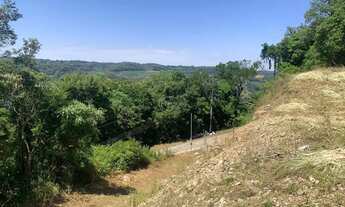 Imagem: Terrenos - Linha 40