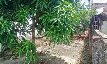 Imagem 3: Casa para vender em São Lourenço da mata 70 mil