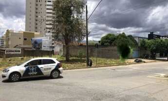 Imagem: Lote/Casa na AVENIDA de fundo com o BURITI