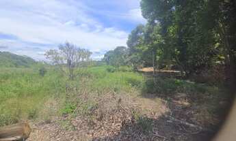 Imagem 6: Lote Escriturado 360m² em Ponta da Fruta - Entrada Facilitada! parcelo sem consulta