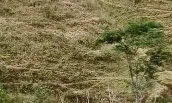 Imagem 2: Venda-se está chácara de 6 litros totalizando 8.267,50 mil M2 no Município de Muqui/ES