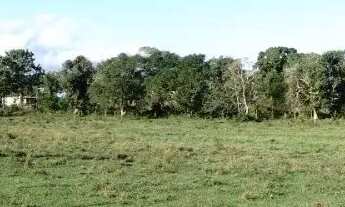Imagem 5: Terreno à venda na Estrada da Caxanga, Centro, Carapebus - RJ