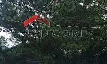 Imagem 2: Sítio em Estrada Manoel Leôncio de Souza Brito - Vargem Pequena - Florianópolis/SC