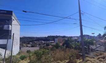 Imagem 3: Terreno - Colombo