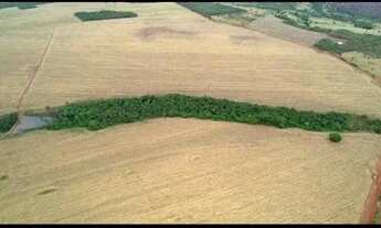 Imagem 7: Imóvel para venda com 600 metros quadrados em Area Rural de Piracanjuba - Piracanjuba - GO