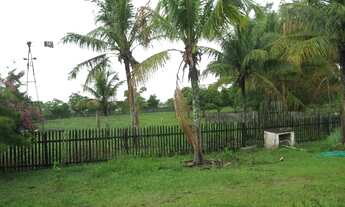 Imagem: Sítio em Açu - São João da Barra, RJ