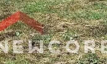 Imagem 3: Lote em Rua K Três - Balneário Recanto do Sol - Caraguatatuba/SP