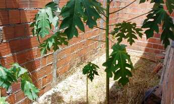 Imagem 7: CASA AMPLA 150²