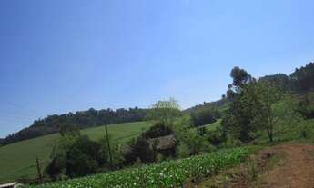 Imagem 6: Propriedade Rural em Palmitos