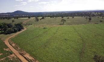 Imagem 6: Fazenda com 102 alqueires em Trombas-GO