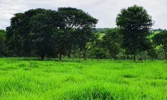 Imagem 2: Chácara de 4.75 Alqueires em Bela Vista
