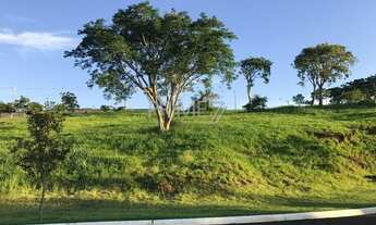 Imagem 2: PIRACICABA - Terreno Padrão - Morato