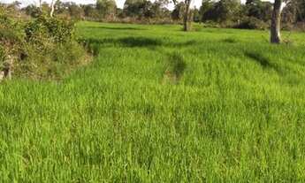 Imagem: Fazenda 60 alqueires