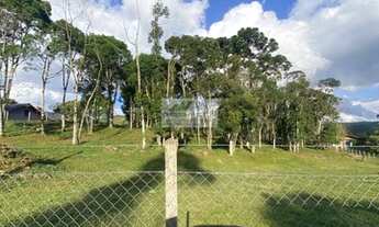 Imagem 3: Sítio à venda no bairro Centro - Campo Alegre/SC
