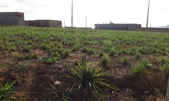 Imagem 2: Terreno Em Carpina