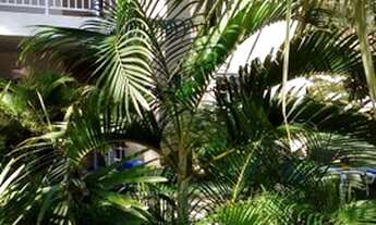 Imagem 2: CASA CONDOMINIO FECHADO BEIRA MAR EM IPIOCA