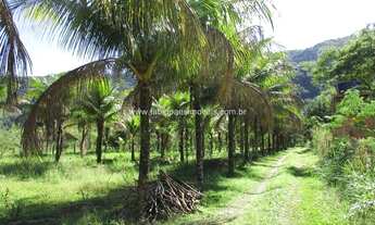 Imagem 4: Fabio Paes Imóveis - Terreno a venda com 25.000 m² em área nobre, rio nos fundos