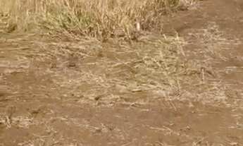 Imagem 4: VENDO LOTES PONTE ALTA GAMA