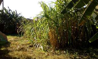 Imagem 3: Terreno de 400 m2 com Rgi A Poucos Minutos do Centro de Campo Grande