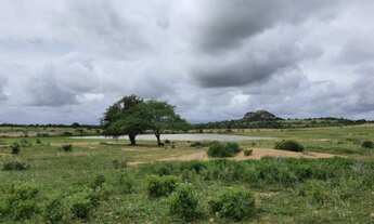 Imagem 2: Propriedade rural em Tangará/RN - 100 hectares