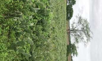 Imagem 3: Vendo 27 tarefas