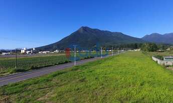 Imagem 4: Lote Pronto p/ Construir - Infraestrutura completa - Asfalto - Rede Elétrica Água e Esgoto