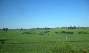 Imagem: AR 2740) Fazenda no Interior da cidade de