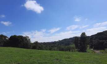 Imagem 4: Terreno Rural próximo a ponto turístico em região valorizada em Campo Alegre/SC