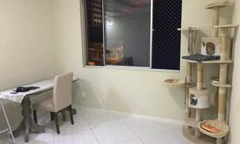 Imagem 4: Apartamento em Capoeiras - Florianópolis - SC