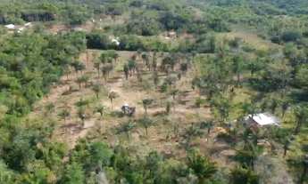 Imagem 3: Terreno top no Janauari c/fundo para o lago à venda. 27.000m² de área (90x300). Analiso pr