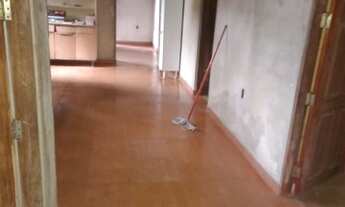 Imagem 5: Casa no jardim 2