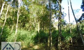 Imagem 6: Sítio para Venda em Nova Friburgo, MURY