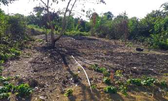 Imagem 3: Imóvel Terreno / lote com venda por R$25.000