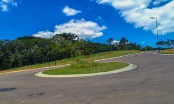 Imagem 4: CURITIBA - Terreno Padrão - Mossunguê