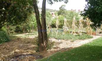 Imagem 5: Terreno - Loteamento Santo Antonio - Jaguariúna