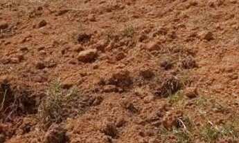 Imagem 3: Tk terrenos belissimos e super Parcelados!