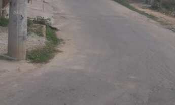 Imagem 7: IBIRITé - Terreno Padrão - Palmeiras