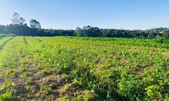 Imagem 3: Lt;br>Terrenos com a oferta Imperdível próximo ao Centro de Ibiúna SP