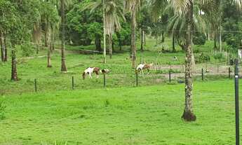 Imagem 3: Vendo Fazenda em Maragogipe/Bahia com 160 Hectares - Oportunidade única!!