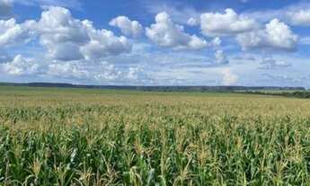Imagem: Fazenda à venda, m² por R$ 68.000.000