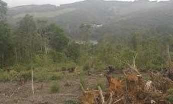 Imagem 7: Terreno para chácaras