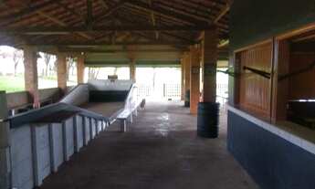 Imagem 7: Sitio de 5 alqueires, com 3 açudes, casa, pasto