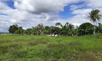 Imagem 6: Sítio Chácara com venda por R$400.000