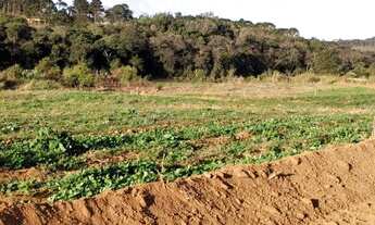 Imagem 7: Oportunidade de você obter um terreno direto com o proprietário