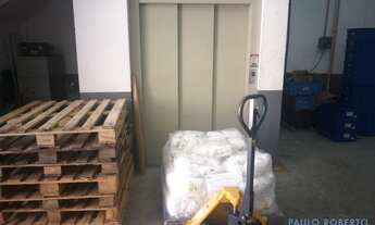 Imagem 7: GALPÃO - NOVA GERTI - SP